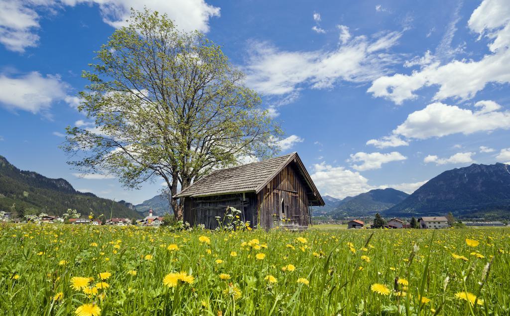Die Lilie / Hotel Garni Reutte Exterior photo
